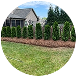 Shrubs and Pine Mulch Landscaping