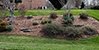 shrubs, pine needles and grass landscaping icon